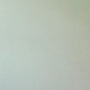 Meet your Posher, Shreya